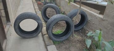 Şin 205 / 60 / R 16 lalafo.az -da Şin 205 / 60 / R 16