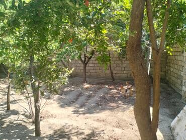 3 kv. m, 6 otaqlı, Qaz, İnternet, Artezian quyusu lalafo.az -da — 2 3 kv. m, 6 otaqlı, Qaz, İnternet, Artezian quyusu — 2