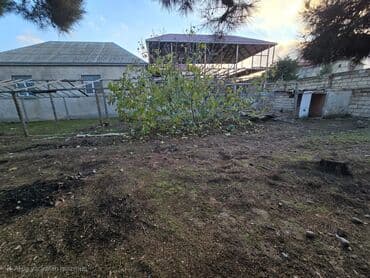 Информатика: Для сельского хозяйства at lalafo.az — 5 Информатика: Для сельского хозяйства — 5