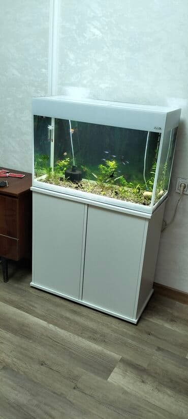 Akvarium-şkaf, Balıqlarla birlikdə, 125 l, Ödənişli çatdırılma, Ünvandan götürmə lalafo.az -da Akvarium-şkaf, Balıqlarla birlikdə, 125 l, Ödənişli çatdırılma, Ünvandan götürmə