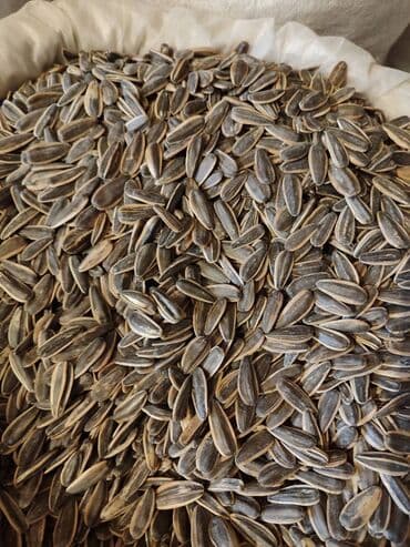 Ləpələr: Qovrulmuş və çiy,ağ və qara semiçkalar çəki ilə satılır. Sifariş lalafo.az -da — 5 Ləpələr: Qovrulmuş və çiy,ağ və qara semiçkalar çəki ilə satılır. Sifariş — 5