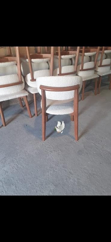 Stul yeni lalafo.az -da Stul yeni