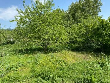 10 sot, Mülkiyyətçi, Kupça (Çıxarış) lalafo.az -da 10 sot, Mülkiyyətçi, Kupça (Çıxarış)