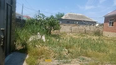 Tikinti, Mülkiyyətçi, Bələdiyyə lalafo.az -da Tikinti, Mülkiyyətçi, Bələdiyyə