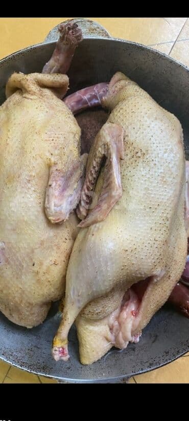 Məhsul: Təmizlənmiş qaz əti (bütöv karkas) Təsvir: - Şəkildə lalafo.az -da Məhsul: Təmizlənmiş qaz əti (bütöv karkas) Təsvir: - Şəkildə