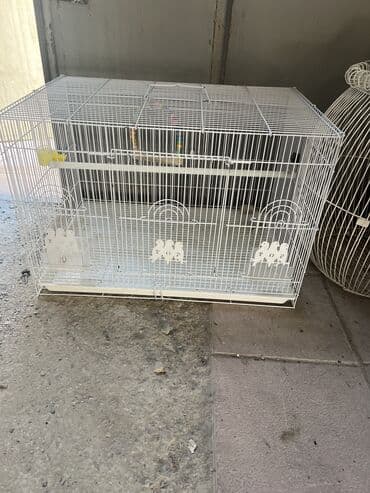 Qus qefesleri boyuk olcudu cox az islenib 50 manata olcusu 40-60 lalafo.az -da Qus qefesleri boyuk olcudu cox az islenib 50 manata olcusu 40-60