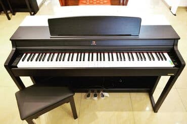 Fleytalar: Piano, Mayga, Rəqəmsal, Yeni, Pulsuz çatdırılma lalafo.az -da — 9 Fleytalar: Piano, Mayga, Rəqəmsal, Yeni, Pulsuz çatdırılma — 9