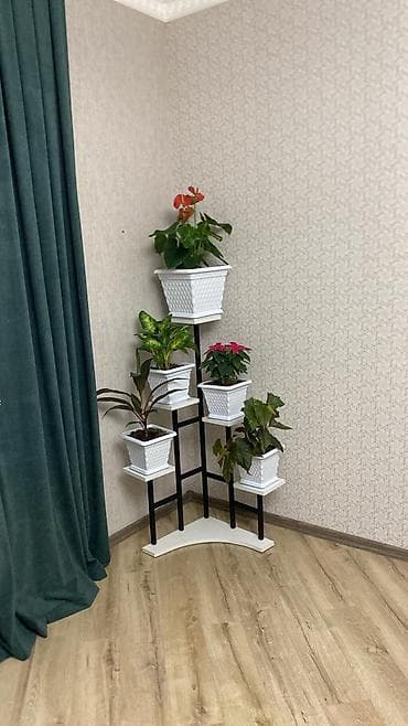 Bitki stendi – çoxsəviyyəli künc model - Dizayn: 5 platformalı lalafo.az -da — 5 Bitki stendi – çoxsəviyyəli künc model - Dizayn: 5 platformalı — 5