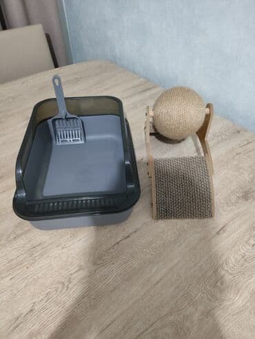 Био-туалеты и наполнители: Pişiklər üçün nəzərdə tutulmuş bu dəstdə tualet qabı və dırnaq at lalafo.az — 1 Био-туалеты и наполнители: Pişiklər üçün nəzərdə tutulmuş bu dəstdə tualet qabı və dırnaq — 1