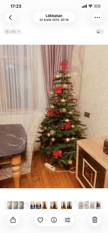 Yeni il ağacı – tam bəzədilmiş set - Yaşıl şam formasında süni ağac lalafo.az -da Yeni il ağacı – tam bəzədilmiş set - Yaşıl şam formasında süni ağac