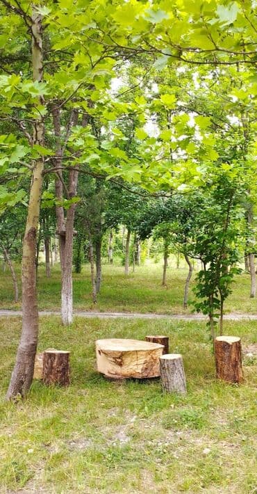 200 sot, Biznes üçün, Barter mümkündür, Kupça (Çıxarış), Müqavilə lalafo.az -da 200 sot, Biznes üçün, Barter mümkündür, Kupça (Çıxarış), Müqavilə