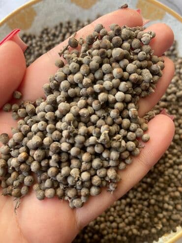 Ərküdə toxumu satılır (təbii, yerli) Kerküdə bitkisi / toxumu – topdan lalafo.az -da Ərküdə toxumu satılır (təbii, yerli) Kerküdə bitkisi / toxumu – topdan