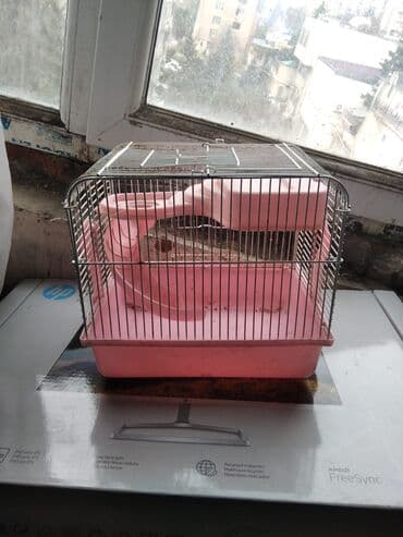 Kletkalar .biri 15 man obri 12 man lalafo.az -da Kletkalar .biri 15 man obri 12 man