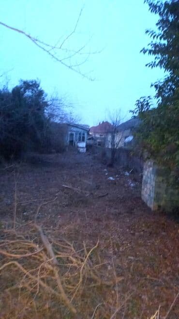 Kəsici disklər: 6 sot, Biznes üçün, Kupça (Çıxarış) lalafo.az -da — 2 Kəsici disklər: 6 sot, Biznes üçün, Kupça (Çıxarış) — 2