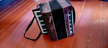 Akustik Akkordeon lalafo.az -da Akustik Akkordeon