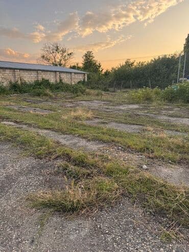 Mülkiyyətçi lalafo.az -da Mülkiyyətçi