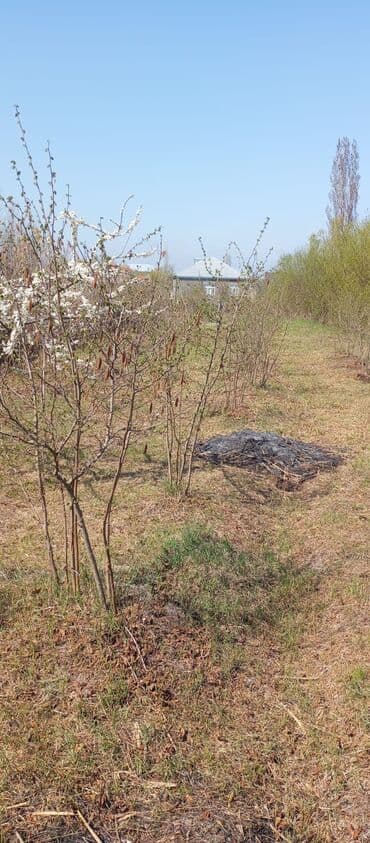 Информатика: 8 соток, Для бизнеса, Возможен обмен, Купчая at lalafo.az — 3 Информатика: 8 соток, Для бизнеса, Возможен обмен, Купчая — 3