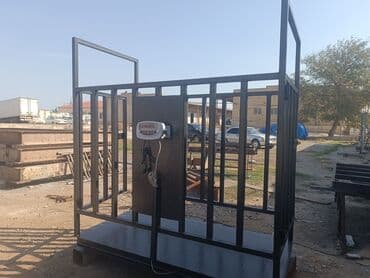 Elektron lalafo.az -da — 15 Elektron — 15