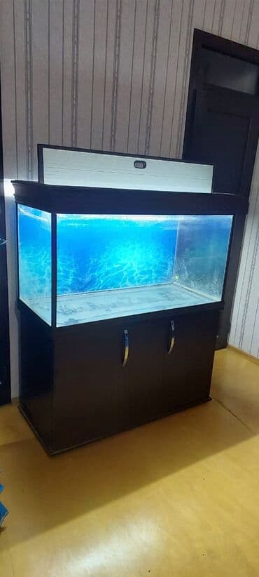 Dördbucaq akvarium, Boş, 500 l, Ünvandan götürmə lalafo.az -da Dördbucaq akvarium, Boş, 500 l, Ünvandan götürmə