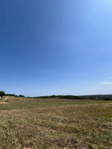 Torpaq sahələrinin satışı lalafo.az -da Torpaq sahələrinin satışı