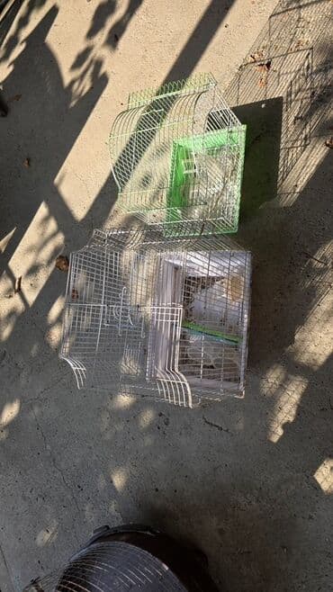 Quşlar üçün nəzərdə tutulmuş iki ədəd metal qəfəs. Qəfəslərdən biri lalafo.az -da Quşlar üçün nəzərdə tutulmuş iki ədəd metal qəfəs. Qəfəslərdən biri
