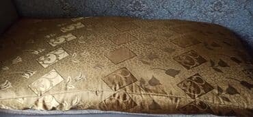 Pled lalafo.az -da Pled