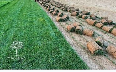 Bütün növ ağcların qazonun güllərin biçilməsi sulaması dərmanlaması lalafo.az -da Bütün növ ağcların qazonun güllərin biçilməsi sulaması dərmanlaması