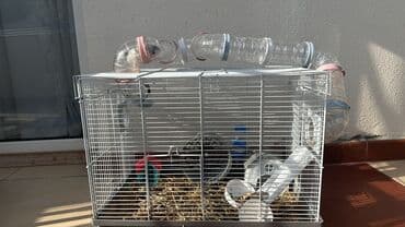 Qefes xamyaklarla birlikde satilir.Qefes və iki ədəd xamyak. Qefesı lalafo.az -da Qefes xamyaklarla birlikde satilir.Qefes və iki ədəd xamyak. Qefesı