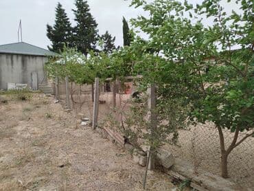 5 sot, Tikinti, Maklerlər narahat etməsin, Kupça (Çıxarış) lalafo.az -da 5 sot, Tikinti, Maklerlər narahat etməsin, Kupça (Çıxarış)