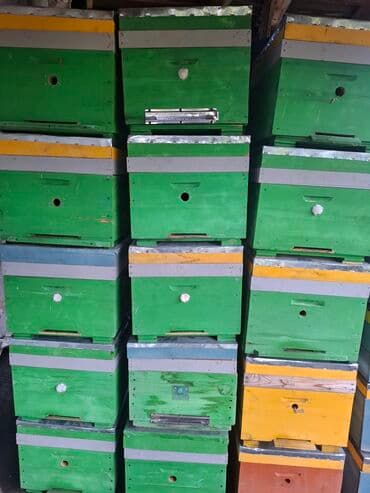Arıçılıq üçün taxta arı pətəkləri və korpuslar Məhsul təsviri: - lalafo.az -da Arıçılıq üçün taxta arı pətəkləri və korpuslar Məhsul təsviri: -