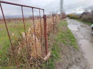 Kənd təsərrüfatı lalafo.az -da Kənd təsərrüfatı