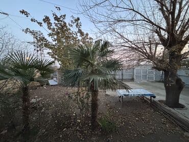 Türklər qəsəbəsinin ən gözəl məhəllələrindən birində, İmamzadə lalafo.az -da Türklər qəsəbəsinin ən gözəl məhəllələrindən birində, İmamzadə