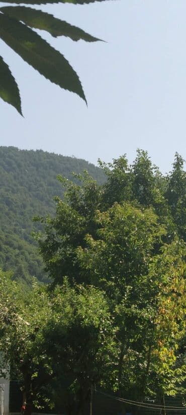 12 sot, Tikinti, Mülkiyyətçi, Kupça (Çıxarış) lalafo.az -da 12 sot, Tikinti, Mülkiyyətçi, Kupça (Çıxarış)