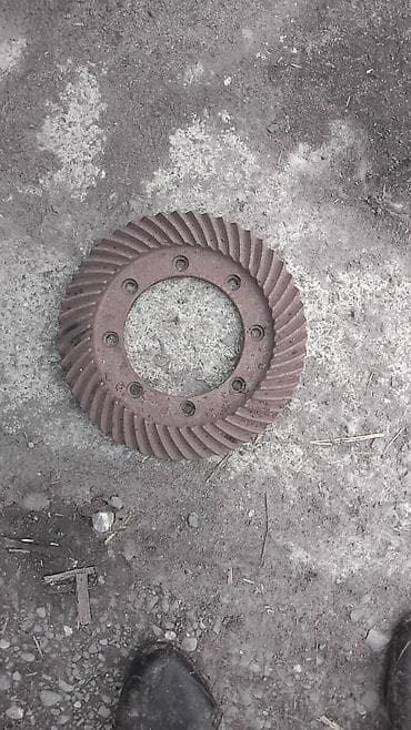 VIS 1, 2026 il, Yeni lalafo.az -da VIS 1, 2026 il, Yeni