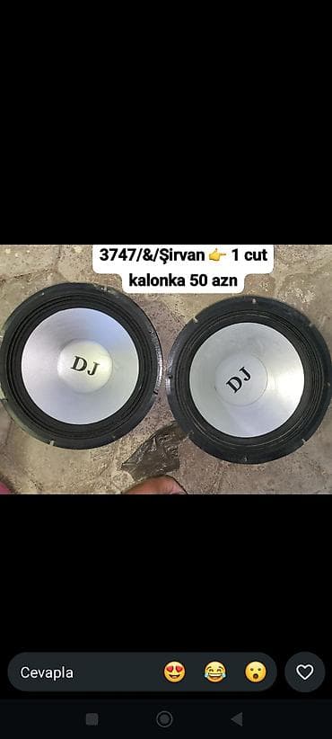 DJ markalı dinamiklər — 1 ədəd - Tip: passiv basa uyğun dinamik lalafo.az -da DJ markalı dinamiklər — 1 ədəd - Tip: passiv basa uyğun dinamik
