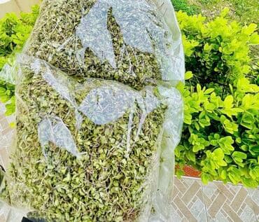 Ordubad kəklikotu - 1 kiloqramı 25 azn. Xalqlar dostluğu metrosuna lalafo.az -da Ordubad kəklikotu - 1 kiloqramı 25 azn. Xalqlar dostluğu metrosuna