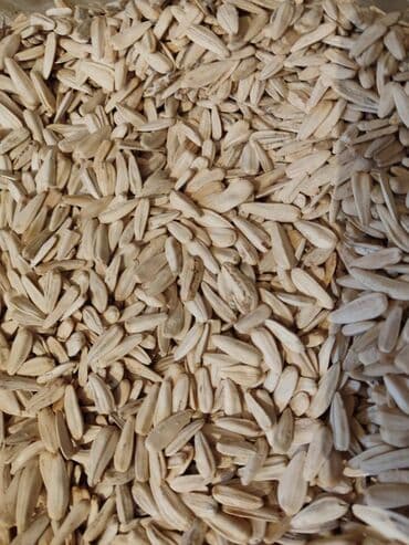 Ləpələr: Qovrulmuş və çiy,ağ və qara semiçkalar çəki ilə satılır. Sifariş lalafo.az -da — 3 Ləpələr: Qovrulmuş və çiy,ağ və qara semiçkalar çəki ilə satılır. Sifariş — 3