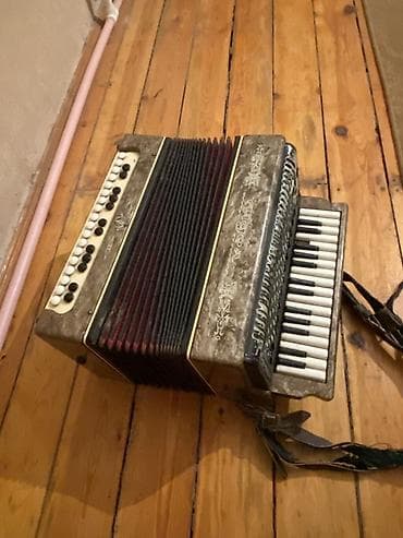 Akustik Akkordeon lalafo.az -da Akustik Akkordeon