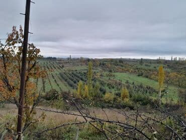 Информатика: Для сельского хозяйства, Риэлторам не беспокоить, Купчая at lalafo.az — 4 Информатика: Для сельского хозяйства, Риэлторам не беспокоить, Купчая — 4