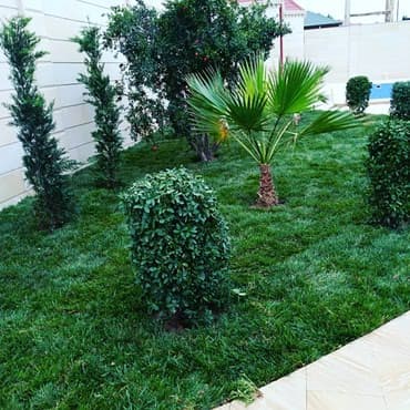 Qazon satisi catddirilmasi ve serilmesi yuksək keyfiyyət serferli lalafo.az -da Qazon satisi catddirilmasi ve serilmesi yuksək keyfiyyət serferli