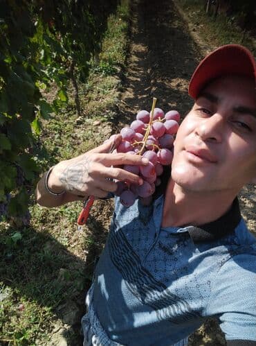 Ləpələr: Salam uzun iller tesarufatla məşğul olmuşam indi işsizəm özümə is lalafo.az -da — 1 Ləpələr: Salam uzun iller tesarufatla məşğul olmuşam indi işsizəm özümə is — 1