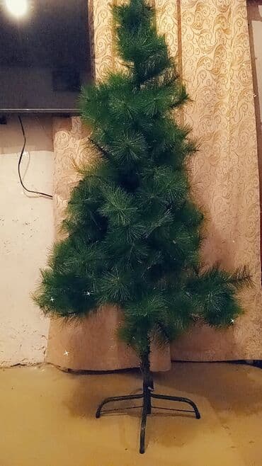 Yeni il yolkasi yeni kimidir hec bir problemi yoxdur sokule bilir lalafo.az -da Yeni il yolkasi yeni kimidir hec bir problemi yoxdur sokule bilir