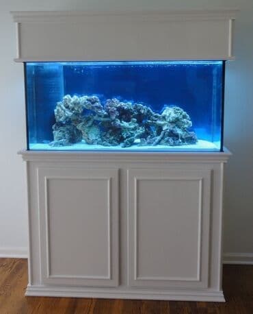 Sifarişlə hazırlanır qiymət şərtidi ölçü və dizayına görə qiymət lalafo.az -da Sifarişlə hazırlanır qiymət şərtidi ölçü və dizayına görə qiymət