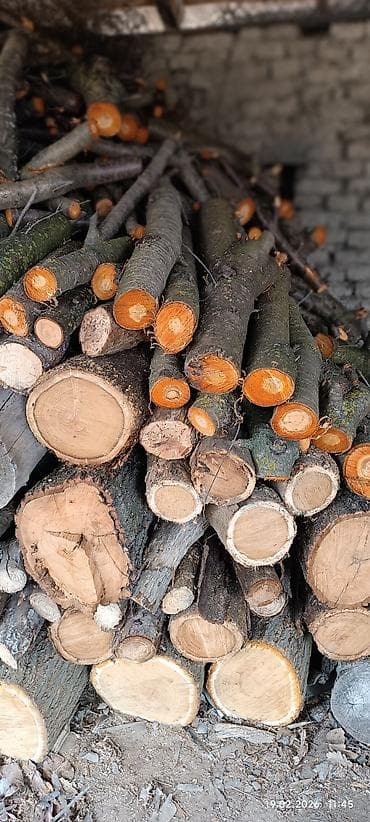 Odun – qarışıq ağac növləri, budaqlı və kötüklü hissələr - Kəsilib lalafo.az -da Odun – qarışıq ağac növləri, budaqlı və kötüklü hissələr - Kəsilib