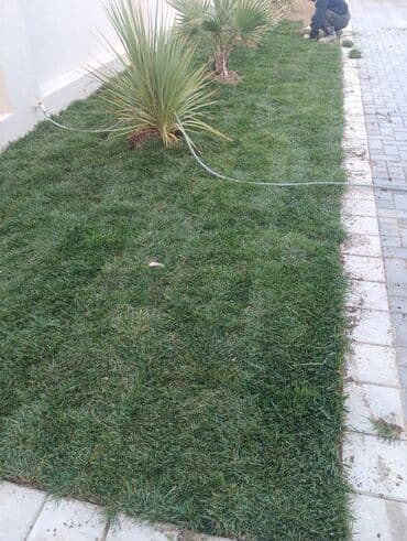 Qazon sivarisi qebul olnur
catrlma qurasdrmasi lalafo.az -da — 3 Qazon sivarisi qebul olnur
catrlma qurasdrmasi — 3