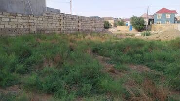 2 sot, Tikinti, Mülkiyyətçi, Kupça (Çıxarış) lalafo.az -da 2 sot, Tikinti, Mülkiyyətçi, Kupça (Çıxarış)