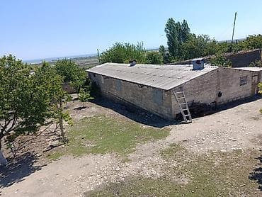 Kənd təsərrüfatı, Kupça (Çıxarış) lalafo.az -da Kənd təsərrüfatı, Kupça (Çıxarış)