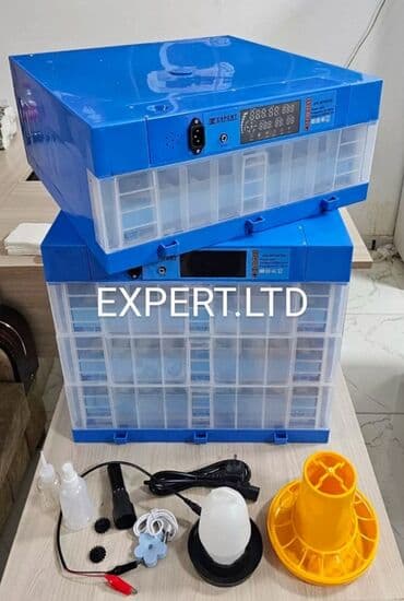 Экстракторы масла: 100 яиц, Китай, Полностью автоматическая, Для всех видов птиц, С гарантией at lalafo.az — 8 Экстракторы масла: 100 яиц, Китай, Полностью автоматическая, Для всех видов птиц, С гарантией — 8