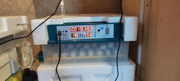 Yarı avtomatik yumurta inkubatoru - Rəqəmsal idarə paneli: LED lalafo.az -da Yarı avtomatik yumurta inkubatoru - Rəqəmsal idarə paneli: LED