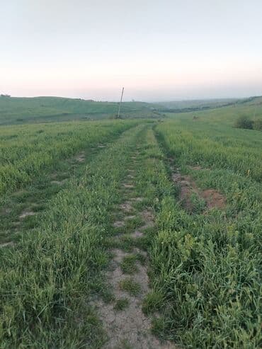 123 sot, Kənd təsərrüfatı, Mülkiyyətçi, Kupça (Çıxarış) lalafo.az -da 123 sot, Kənd təsərrüfatı, Mülkiyyətçi, Kupça (Çıxarış)